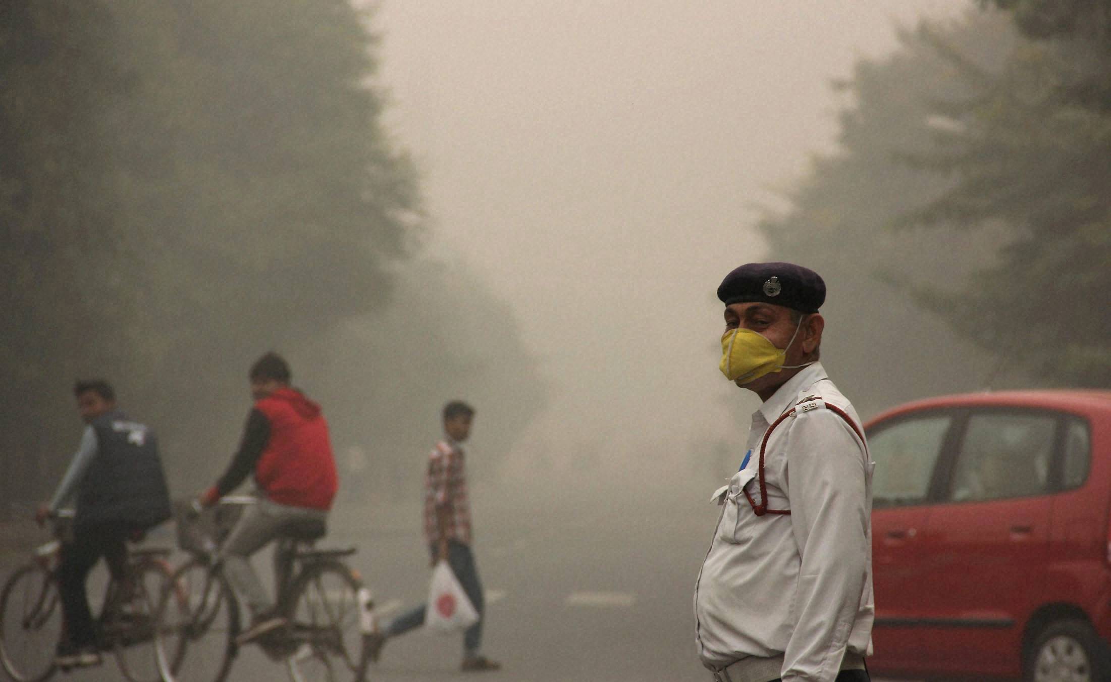 Breathless Delhi: Green Tribunal Bans All Construction For 7 Days