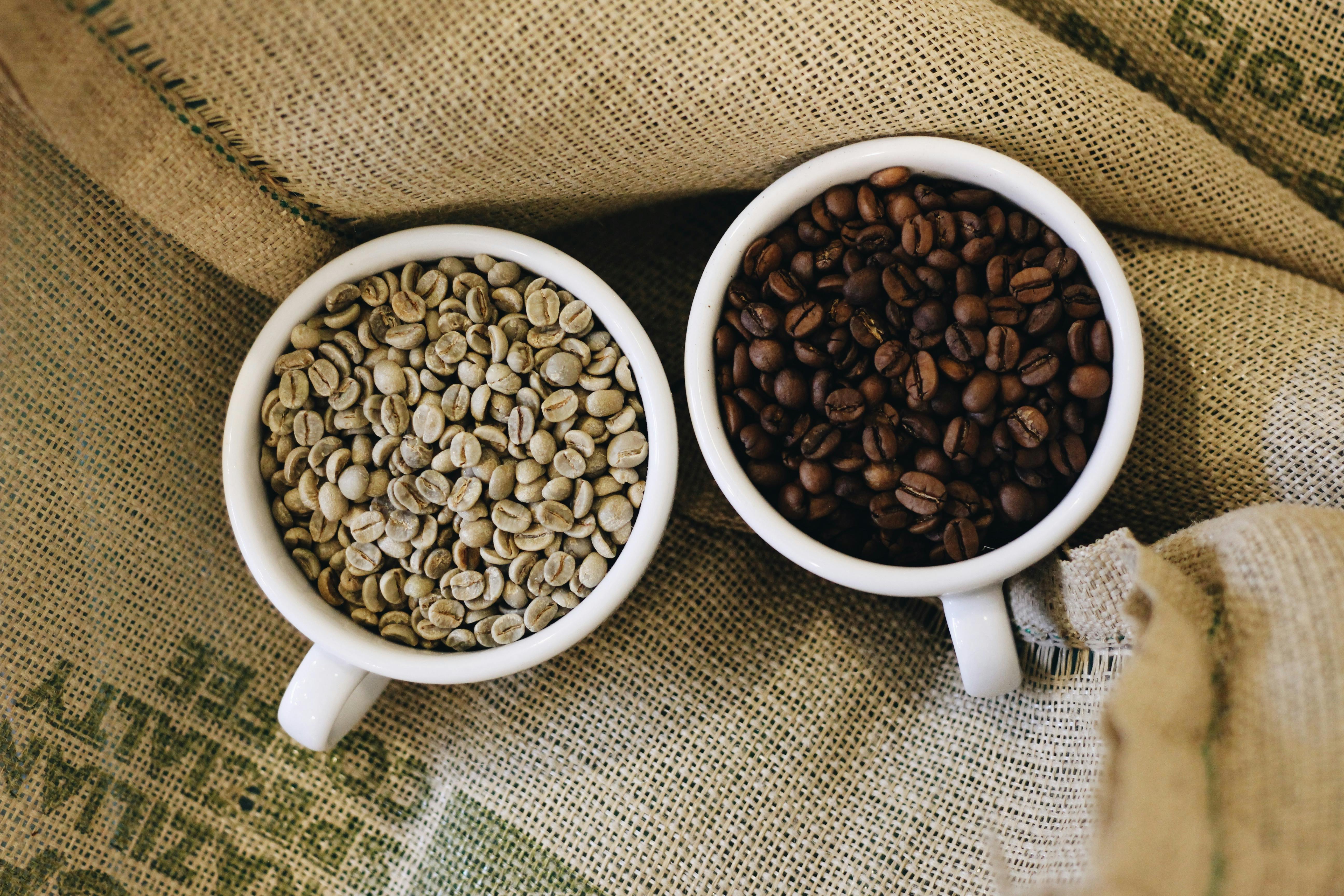 Light Vs Dark Roast Coffee: Which One Has More Antioxidants?