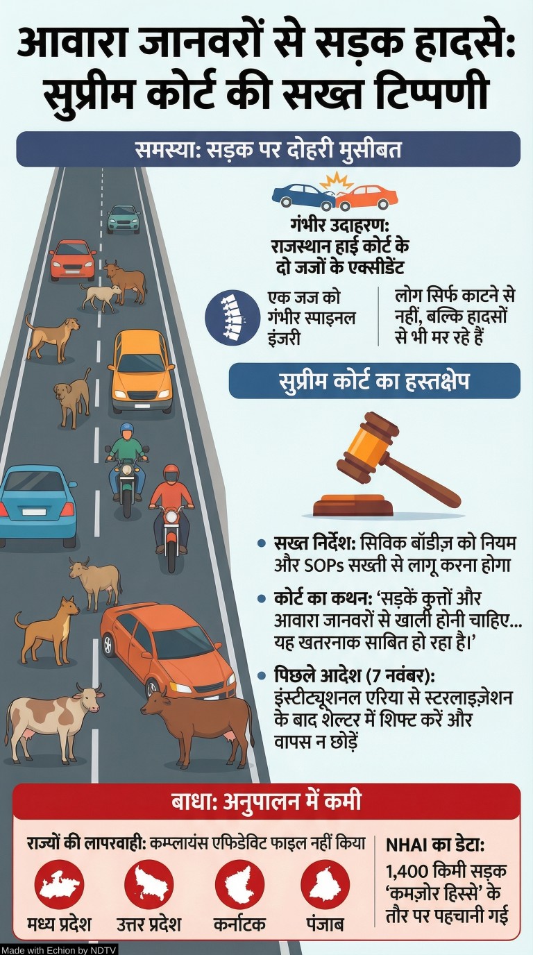 Latest and Breaking News on NDTV Latest and Breaking News on NDTV