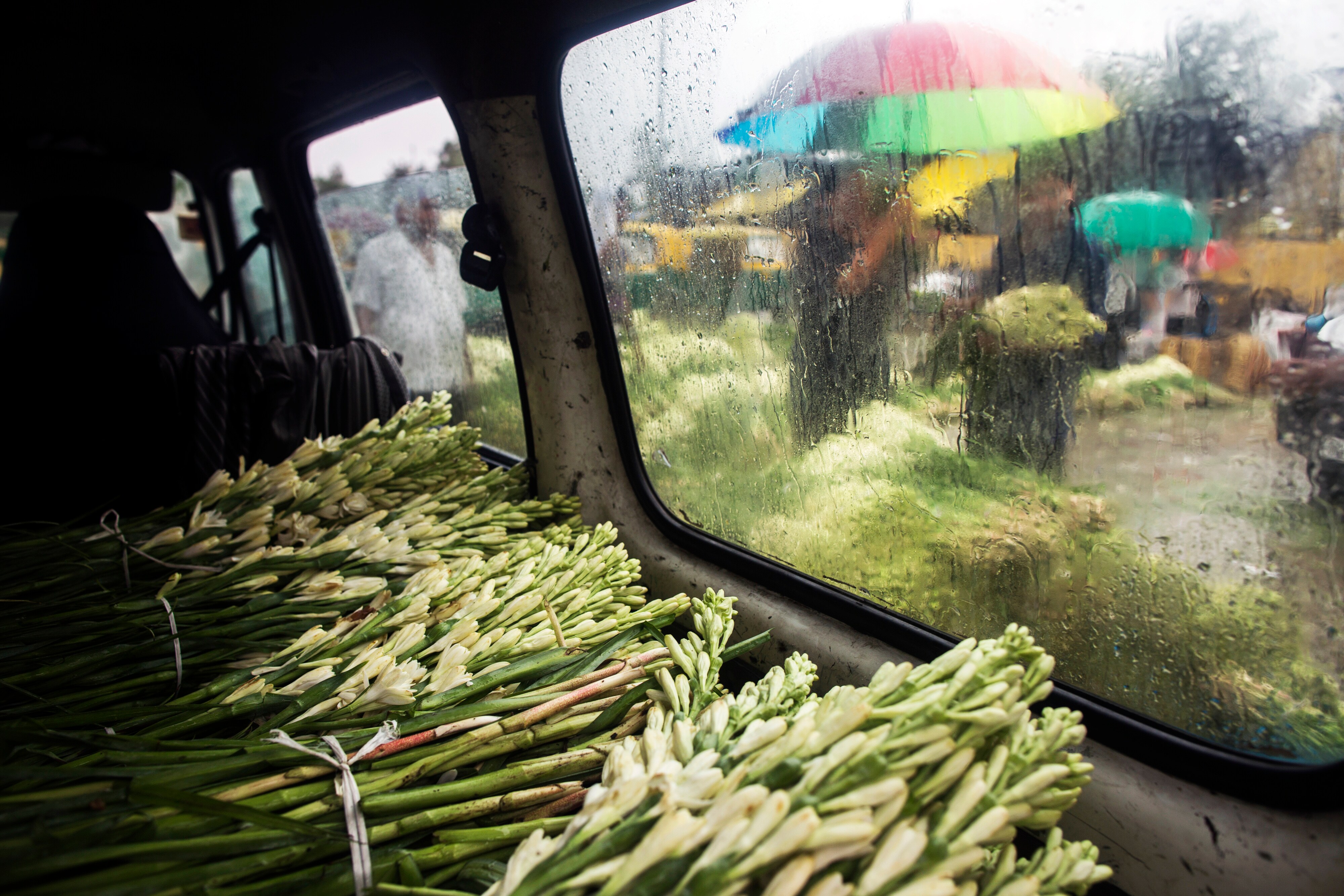 Does Monsoon Impact Market Returns?