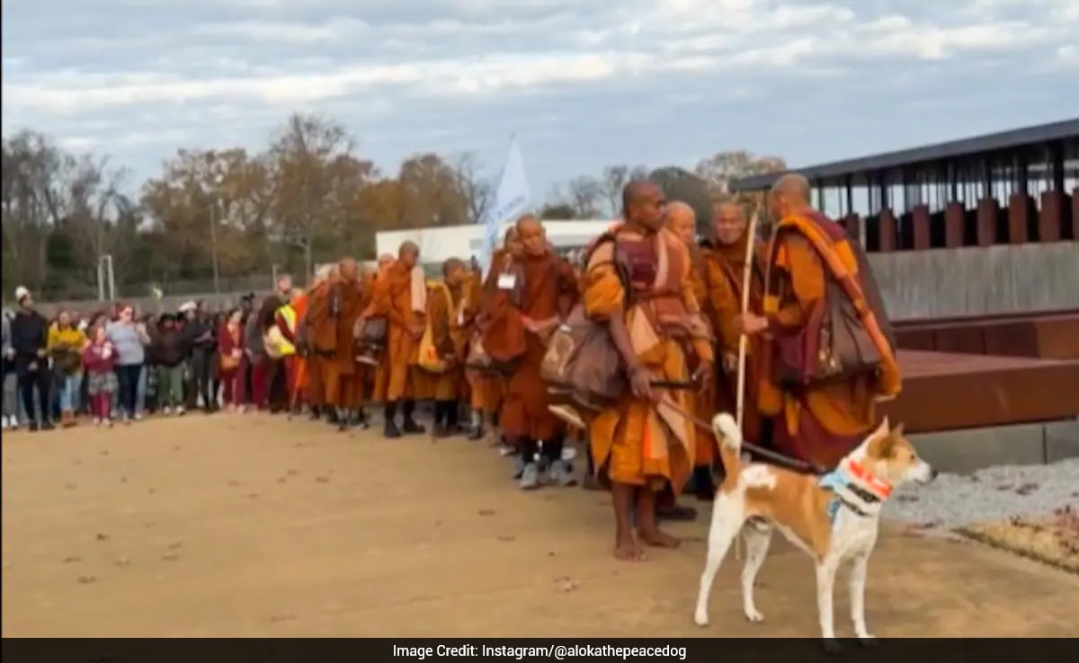 Latest and Breaking News on NDTV Latest and Breaking News on NDTV