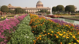 A Complete Guide To Tour Rashtrapati Bhavan: Tickets, Rules, And More