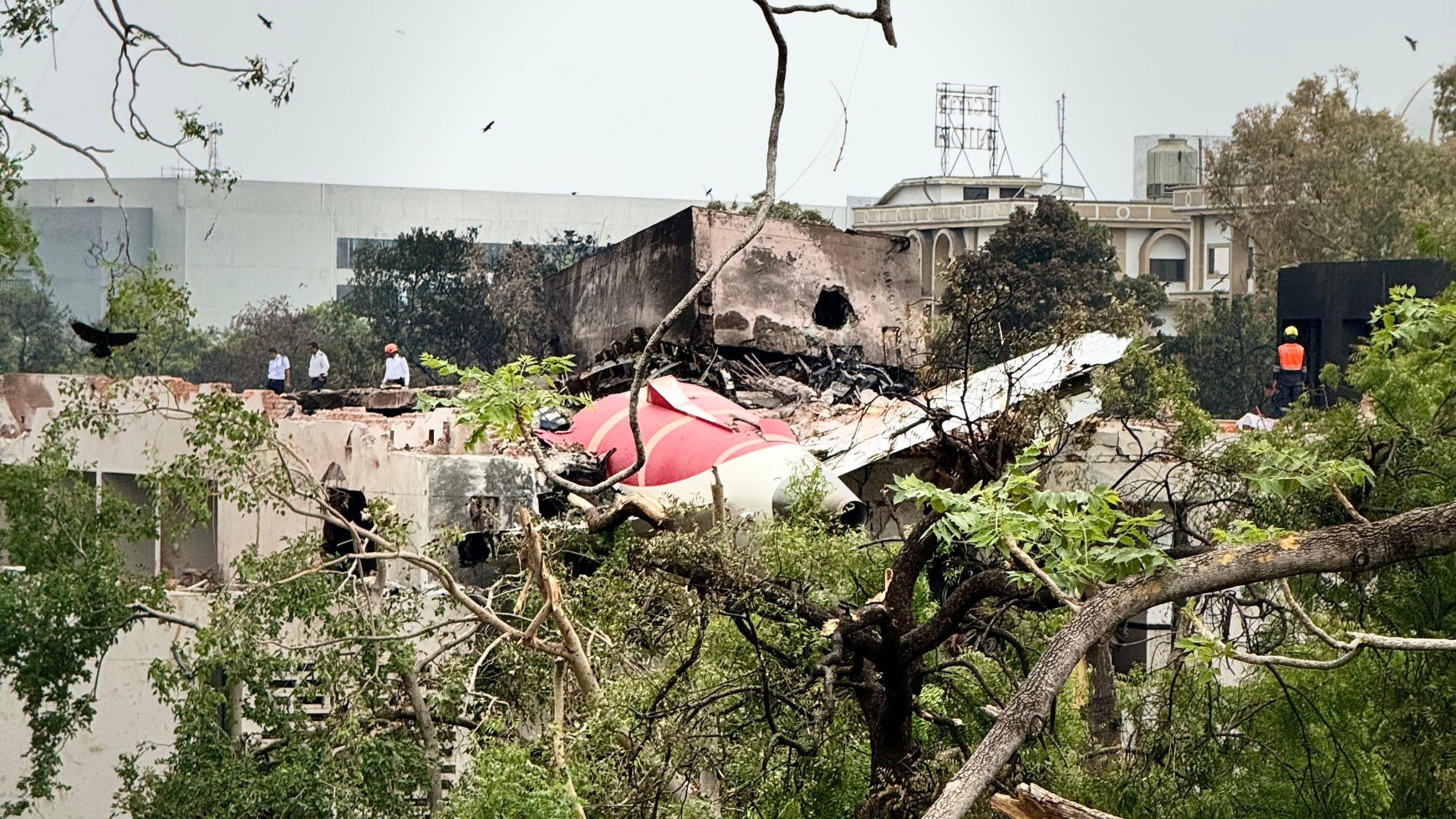 Ahmedabad Plane Crash: Black Box Recovered; DGCA Directs Maintenance Checks On All Air India Boeing 787-8