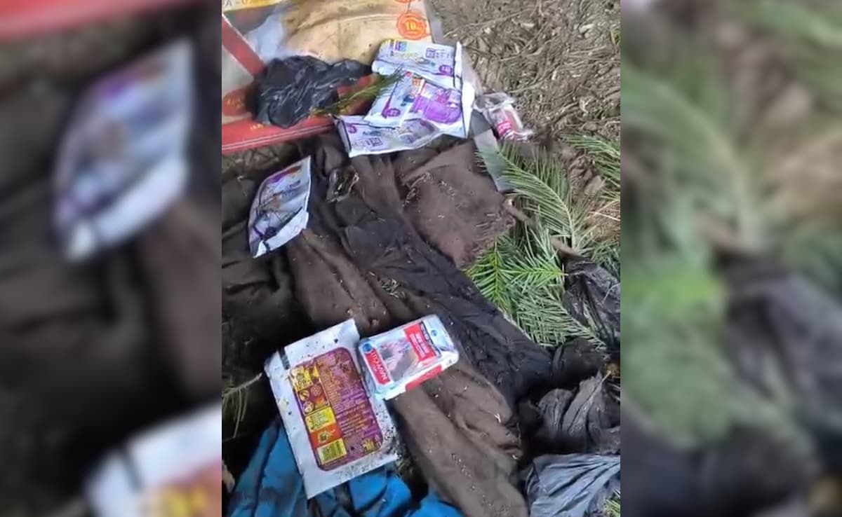 Security Forces Bust Jaish-e-Mohammad Hideout at High Altitude in Jammu Region