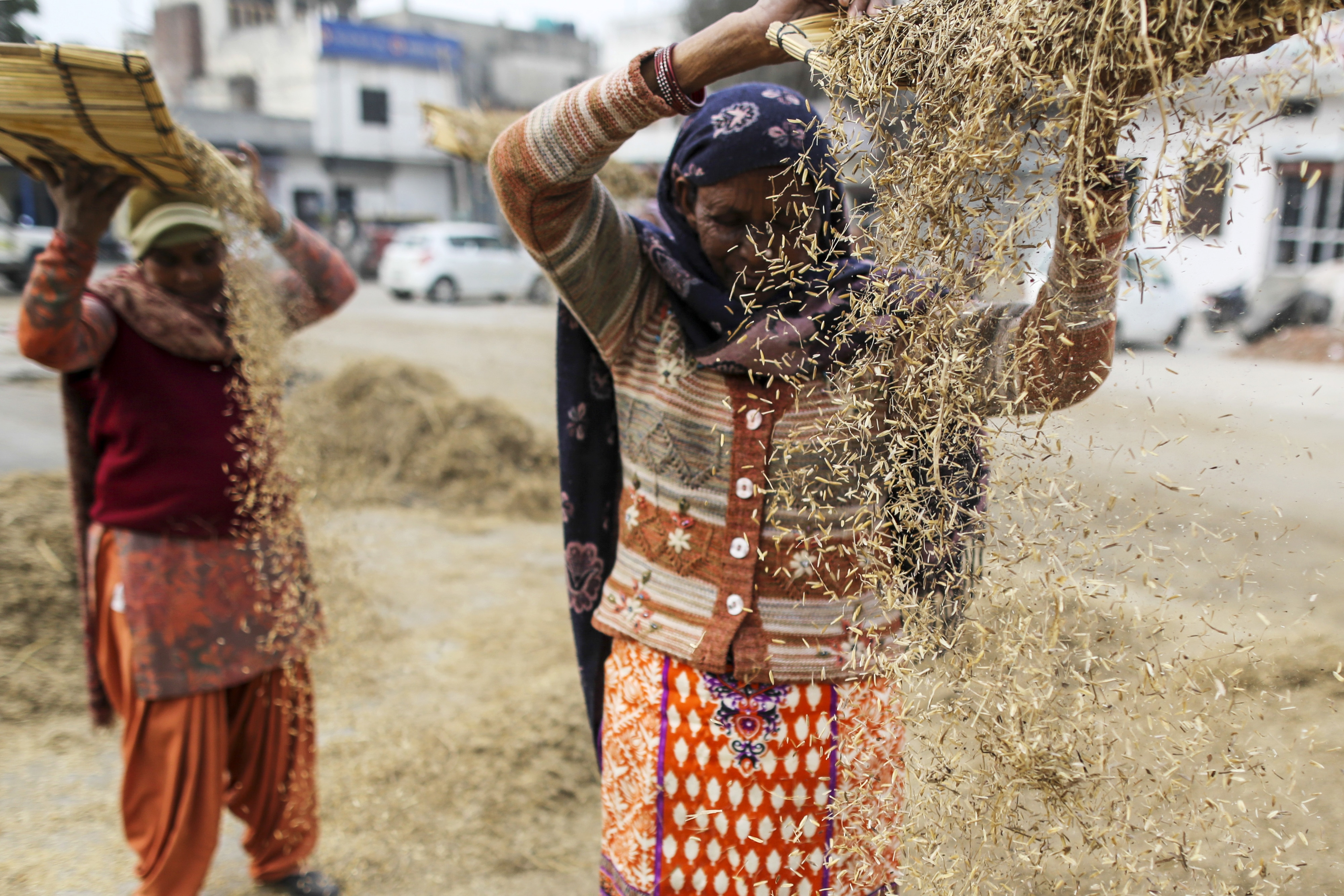 Government Releases First Advance Estimate For 2017-18 Farm Output