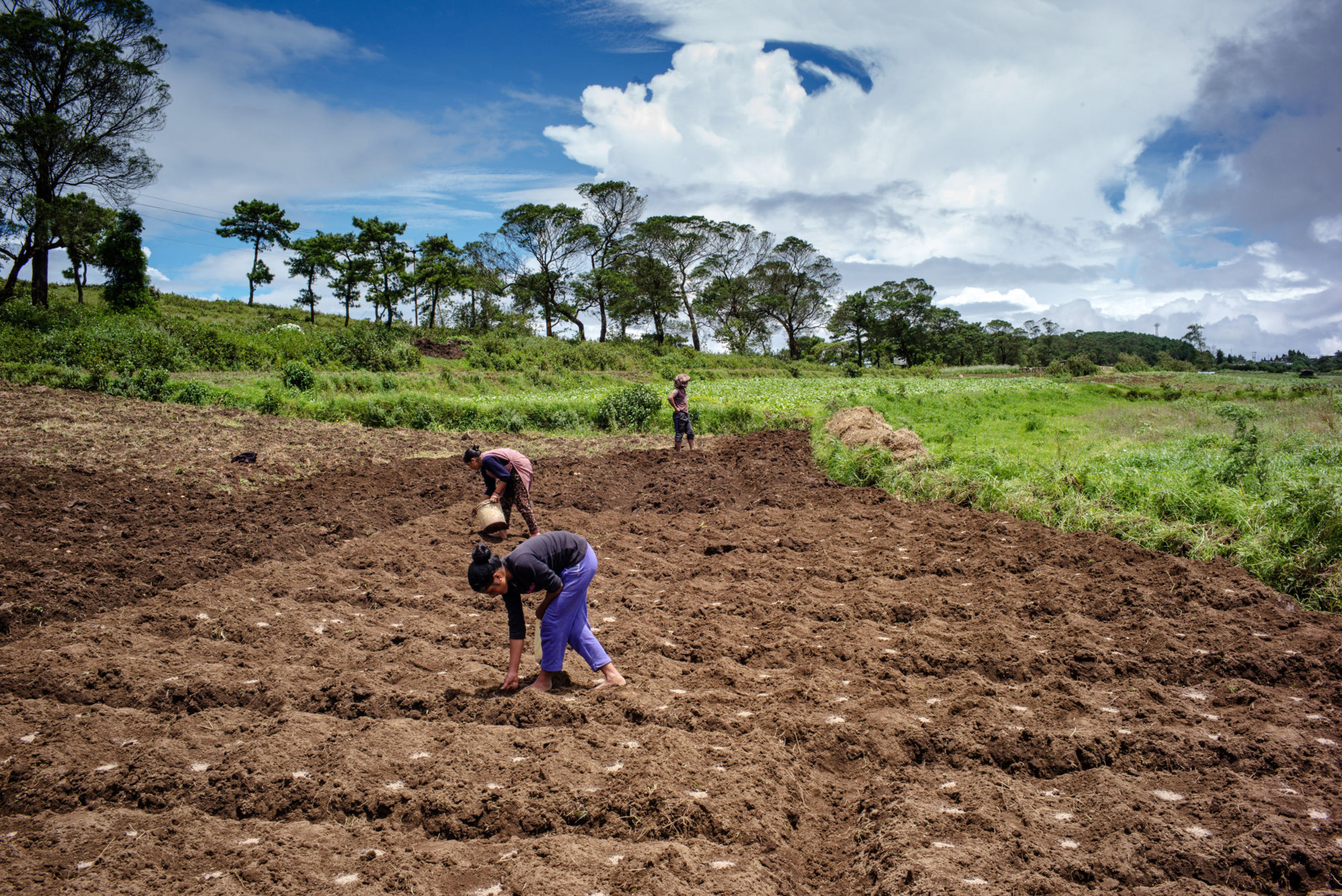 Startup Street: A Sandbox For Startups To Get Ready For The Agritech Boom