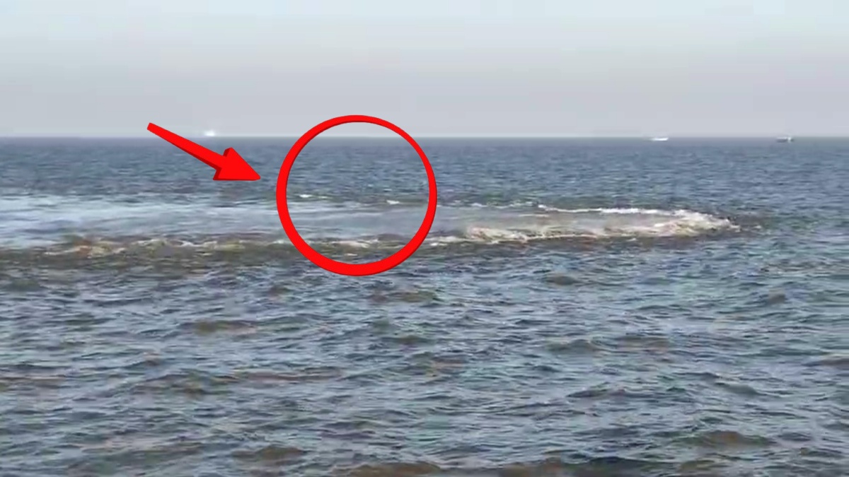 अरब सागर में 'खौलता हुआ रहस्य'! गुजरात तट के पास समंदर में बना विशालकाय घेरा, मछुवारों में फैली दहशत