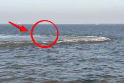 अरब सागर में 'खौलता हुआ रहस्य'! गुजरात तट के पास समंदर में बना विशालकाय घेरा, मछुवारों में फैली दहशत