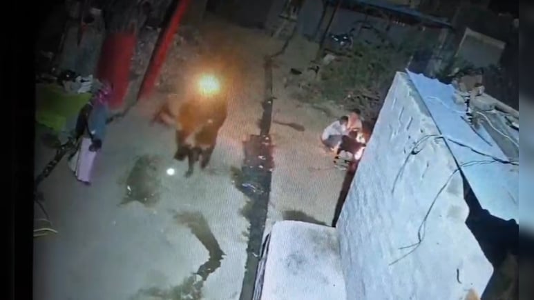 राजस्थान में बेजुबान जानवरों पर क्रूरता, सांड पर पेट्रोल डाल लगाई आग; गौवंश को मारी कुल्हाड़ी