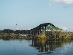 Anand Mahindra Is Fascinated By This 