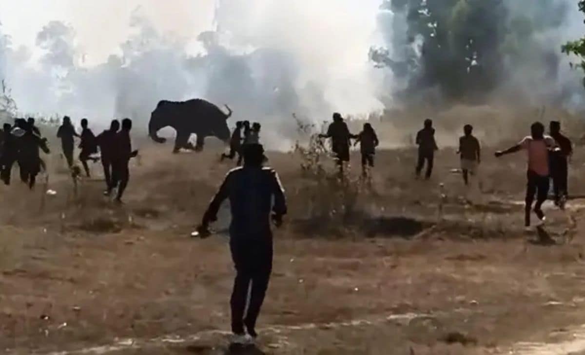 Latest and Breaking News on NDTV