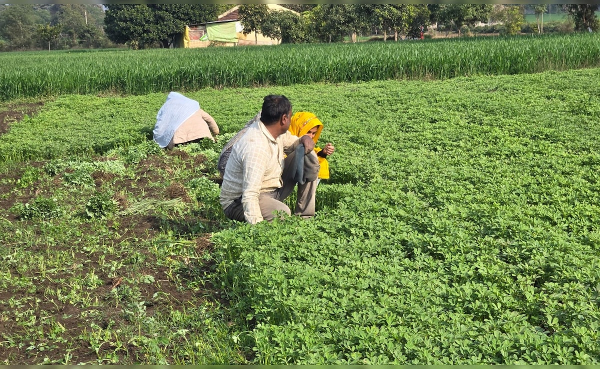 बजट के कागज पर लिखी बातें धरातल पर कब उतरेंगी? शिवराज सिंह के जिले में किसानों को इस बार बड़ी उम्मीदें