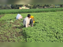 बजट के कागज पर लिखी बातें धरातल पर कब उतरेंगी? शिवराज सिंह के जिले में किसानों को इस बार बड़ी उम्मीदें