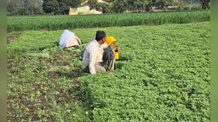 बजट के कागज पर लिखी बातें धरातल पर कब उतरेंगी? शिवराज सिंह के जिले में किसानों को इस बार बड़ी उम्मीदें