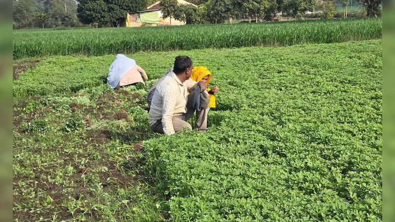 बजट के कागज पर लिखी बातें धरातल पर कब उतरेंगी? शिवराज सिंह के जिले में किसानों को इस बार बड़ी उम्मीदें