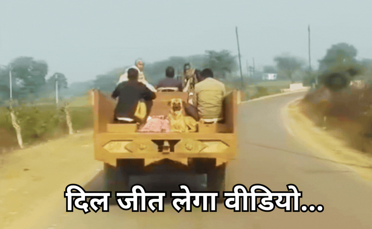 दिल जीत रहा पालतू कुत्ते की मालिक के साथ वफादारी का वायरल वीडियो, चर्चा का विषय बना इमोशनल Video!