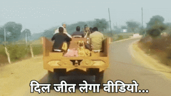 दिल जीत रहा पालतू कुत्ते की मालिक के साथ वफादारी का वायरल वीडियो, चर्चा का विषय बना इमोशनल Video!