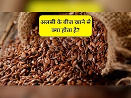 क्या सर्दियों में अलसी के बीज खा सकते हैं, अलसी के बीज खाने से क्या होता है? जानिए फायदे और नुकसान