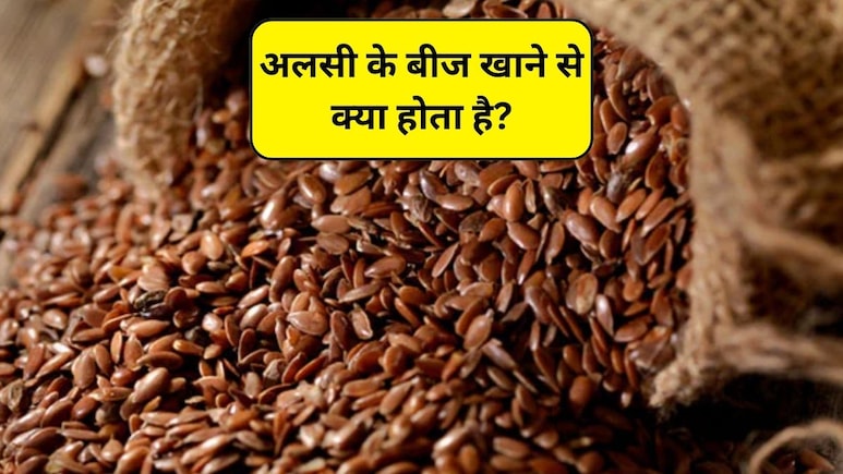 क्या सर्दियों में अलसी के बीज खा सकते हैं, अलसी के बीज खाने से क्या होता है? जानिए फायदे और नुकसान