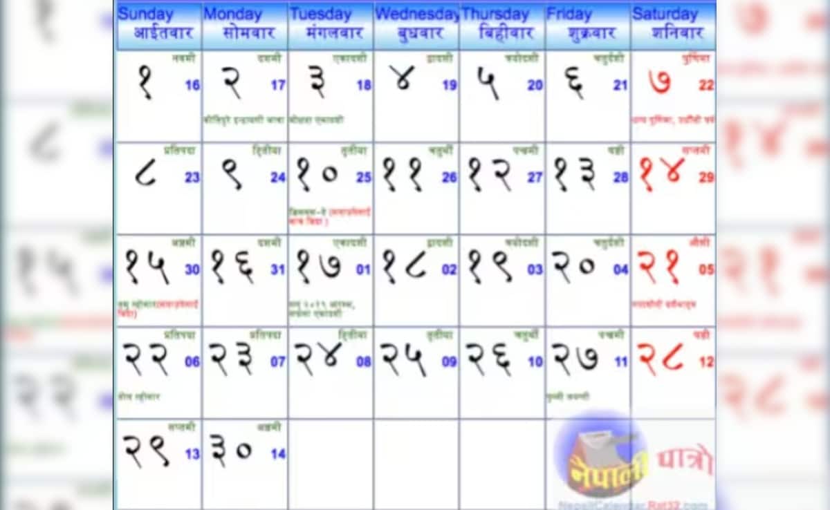 Latest and Breaking News on NDTV