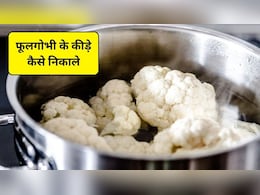 फूलगोभी के कीड़े कैसे निकाले, इन चीजों से साफ करेंगे तो अंदर छिपा एक-एक कीड़ा निकल जाएगा बाहर