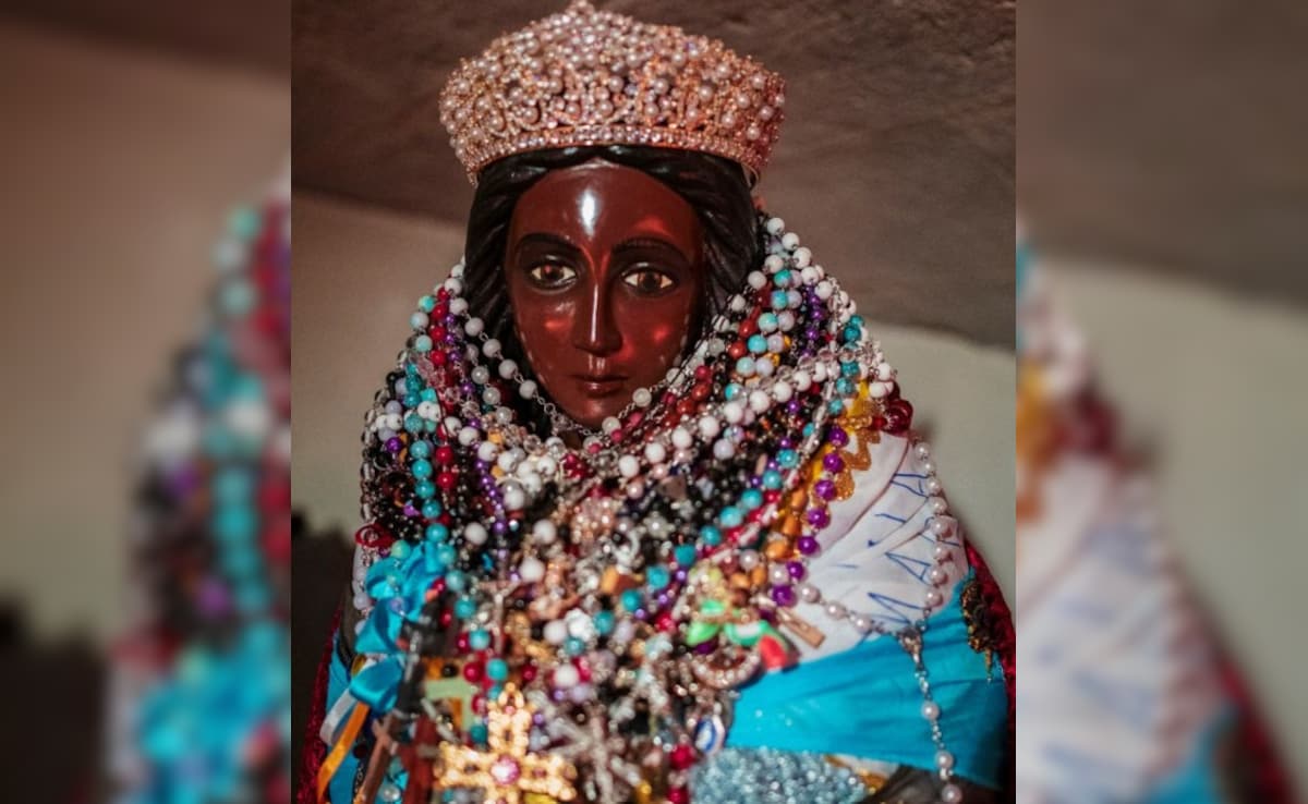 Latest and Breaking News on NDTV