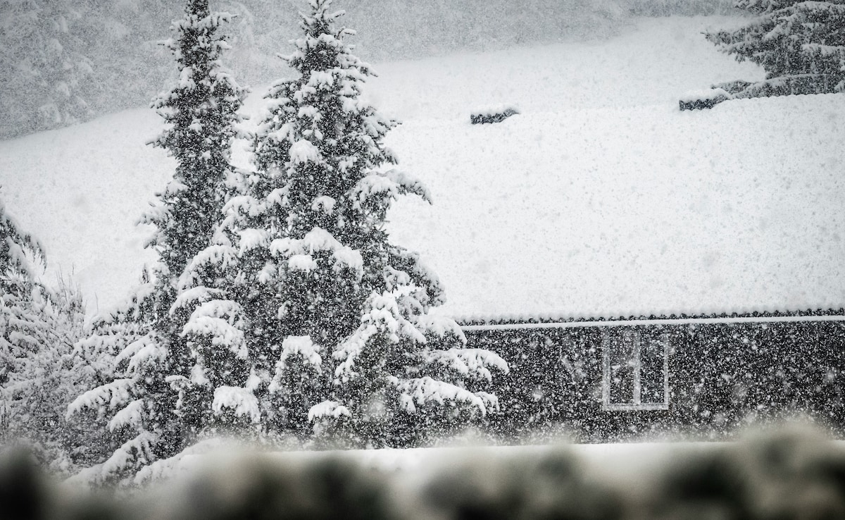 Latest and Breaking News on NDTV Latest and Breaking News on NDTV