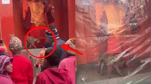मंदिर में हनुमान मूर्ति की 36 घंटे से परिक्रमा कर रहा कुत्ता, अनोखे नजारे को देखने उमड़ी भीड़