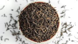 Are Your Tea Leaves Contaminated With Iron Fillings? Food Authority Shares A Simple Home Test