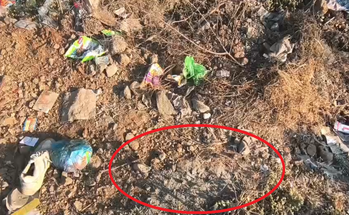 Viral Video: सीहोर में सड़क पर अंतिम संस्कार; पिता ने नवजात के शव को जलाया, जानिए वायरल वीडियो की कहानी