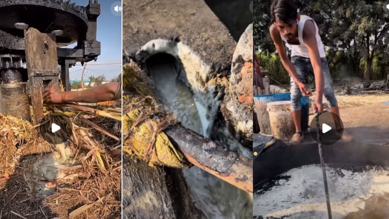 देसी गुड़ कैसे बनता है? एक बार वीडियो देख लिया तो खाने से पहले 100 बार सोचेंगे आप