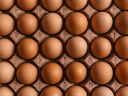 Egg Prices Are Rising In India: How Much Does One Egg Cost In Your City?