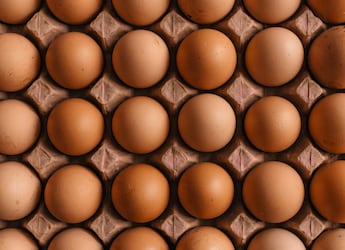 Egg Price Rise: How Much Does One Egg Cost In Your City?