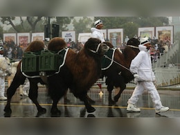 Leh's Bactrian Camels Galwan And Nubra To Walk Down Delhi's Kartavya Path