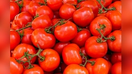 Tomatoes Become Latest Symbol Of America's Affordability Squeeze