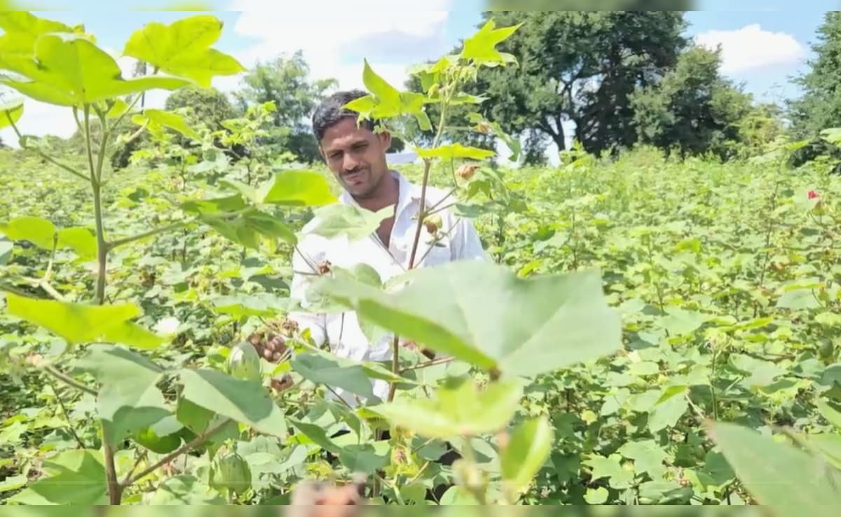 Maharashtra Farmer Wins Rs 50 Lakh On KBC After Years Of Crop Loss