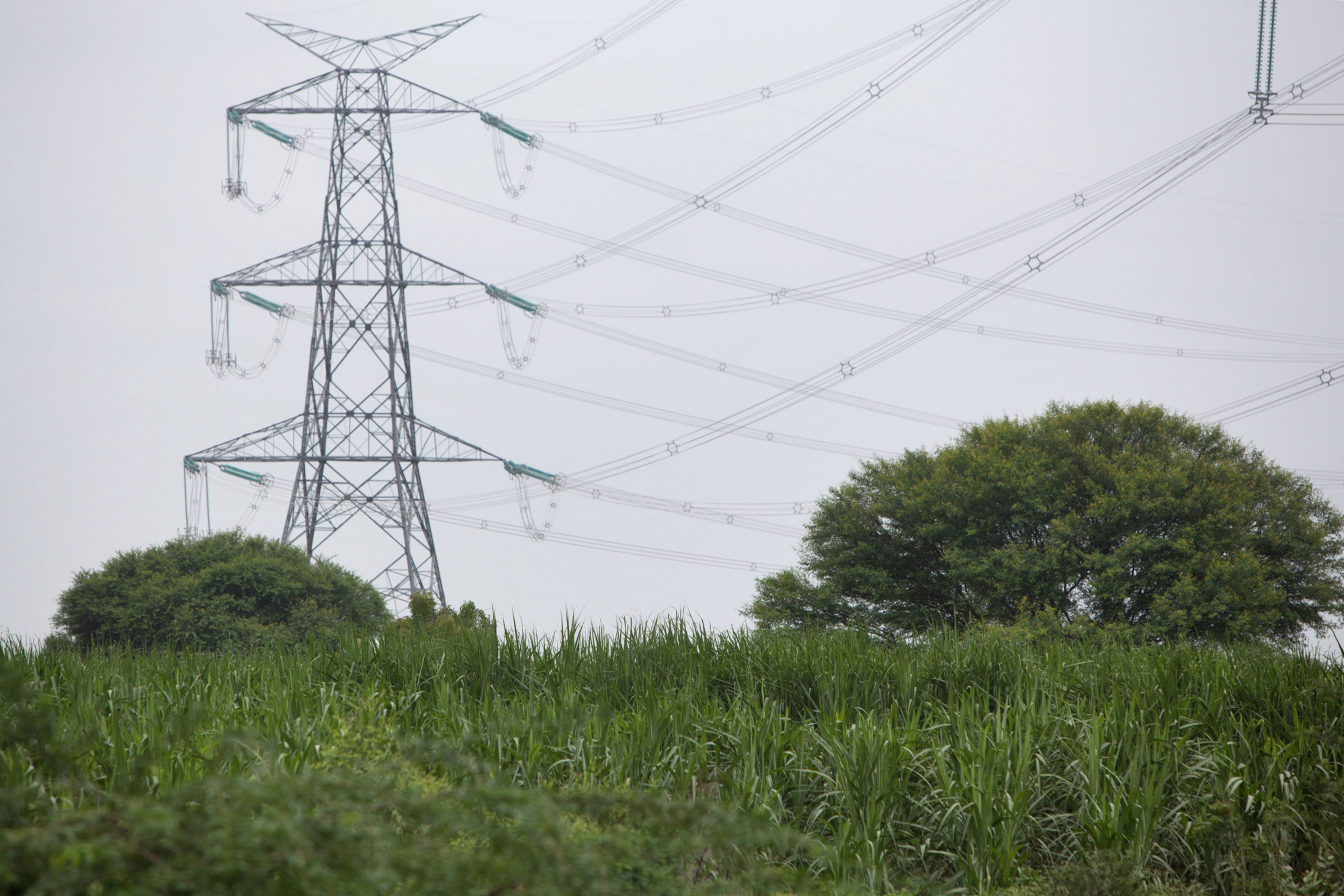 Q2 Results: Power Grid Profit Meets Estimates As Margin Expands