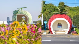 Why This Japan Town, Once Destroyed By An Atom Bomb, Has Fruit-Shaped Bus Stops