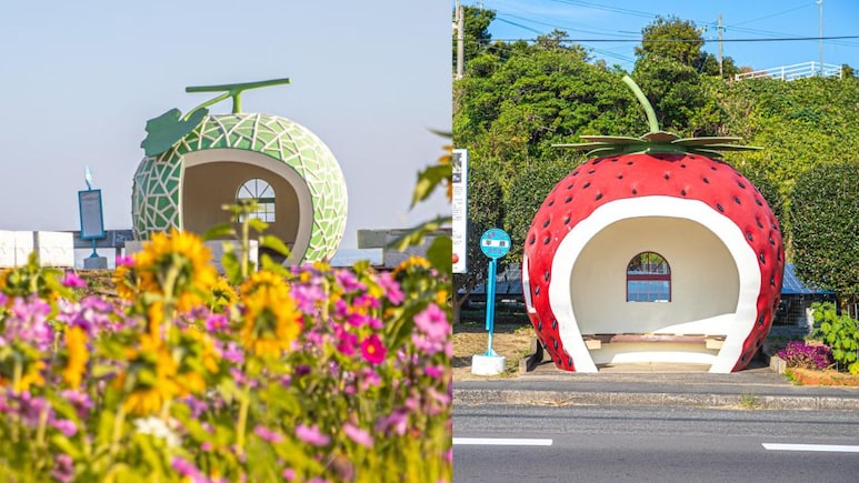 Why This Japan Town, Once Destroyed By An Atom Bomb, Has Fruit-Shaped Bus Stops