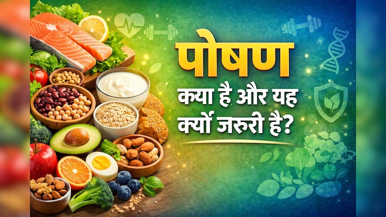 न्यूट्रिशन क्या है? जानिए अच्छी सेहत और लंबी उम्र का असली राज