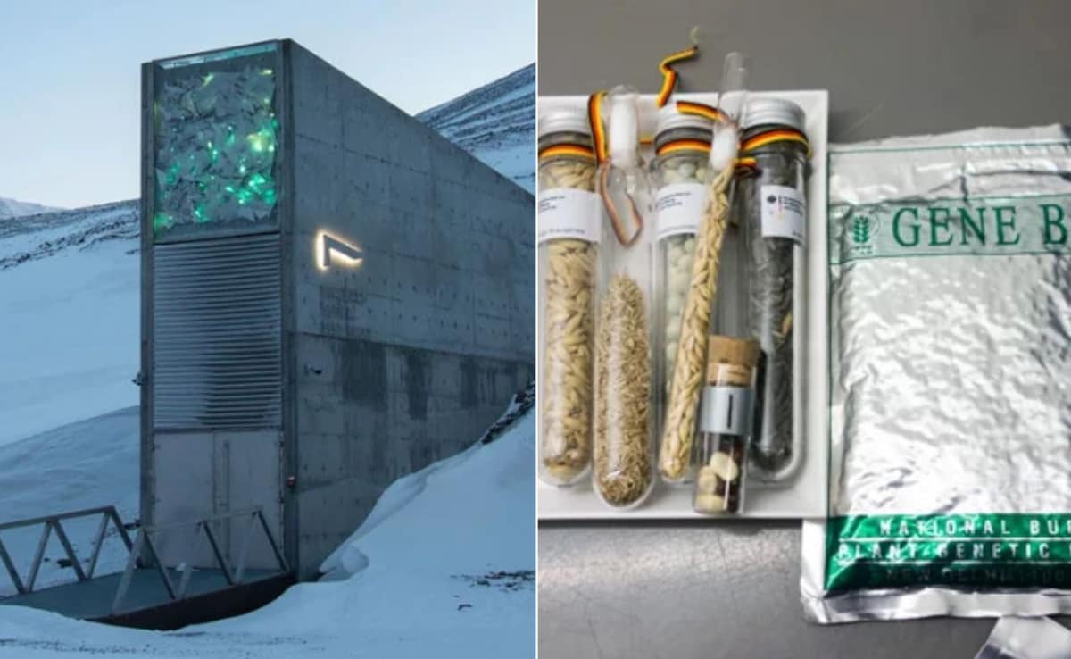 Svalbards Global Seed Vault that safeguards duplicates of 13,01,397 seed samples. Photo: Crop Trust 
