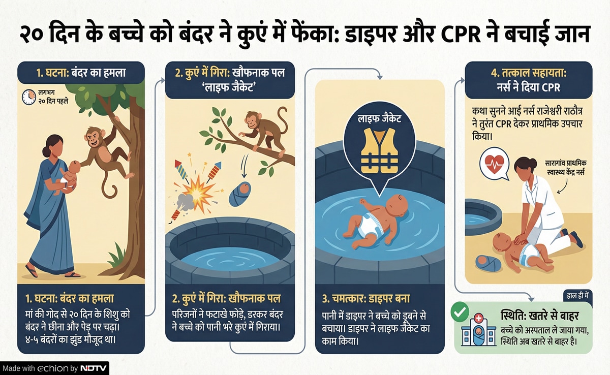 Monkey Attack: बंदर का हमला Monkey Attack: बंदर का हमला