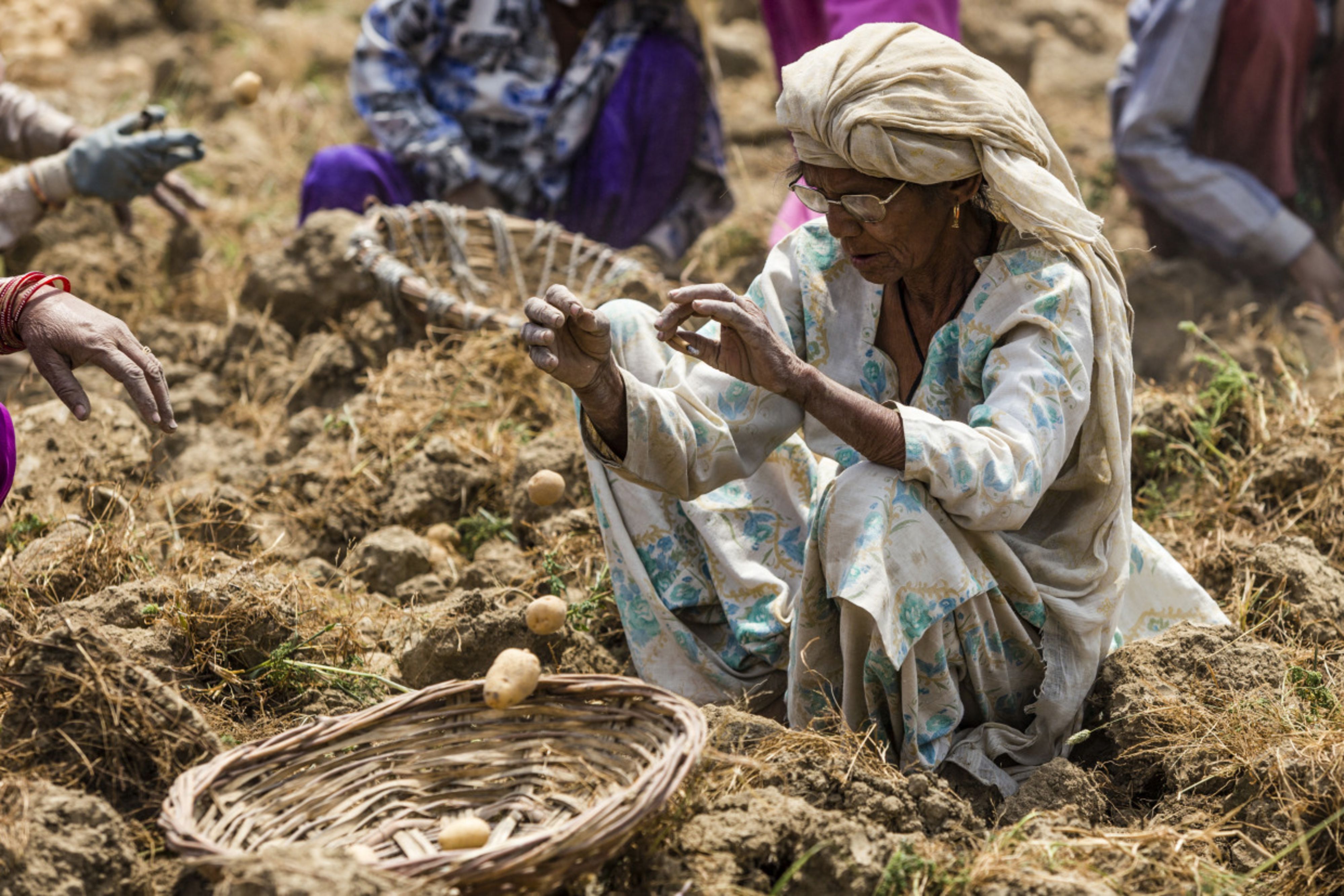 Centre Pays Rs 50,850 Crore To Farmers Under The PM-Kisan Scheme