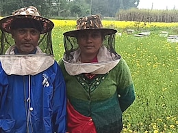 2000 रुपए महीने से चलाते थे घर, बिहार के इस कपल ने शहद से कैसे बदली किस्मत, अब कमाई लाखों में