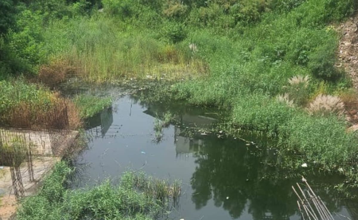 The Art of Baking: From Classic Bread to Artisan Pastries
