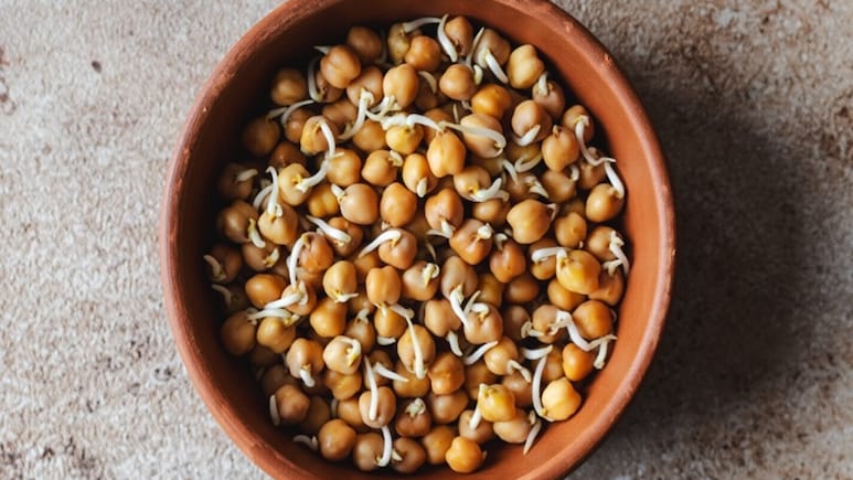 जल्दी थकान और कमजोरी से परेशान? रोज खाएं काला चना, मिलेगी स्टैमिना और मांसपेशियों की शक्ति