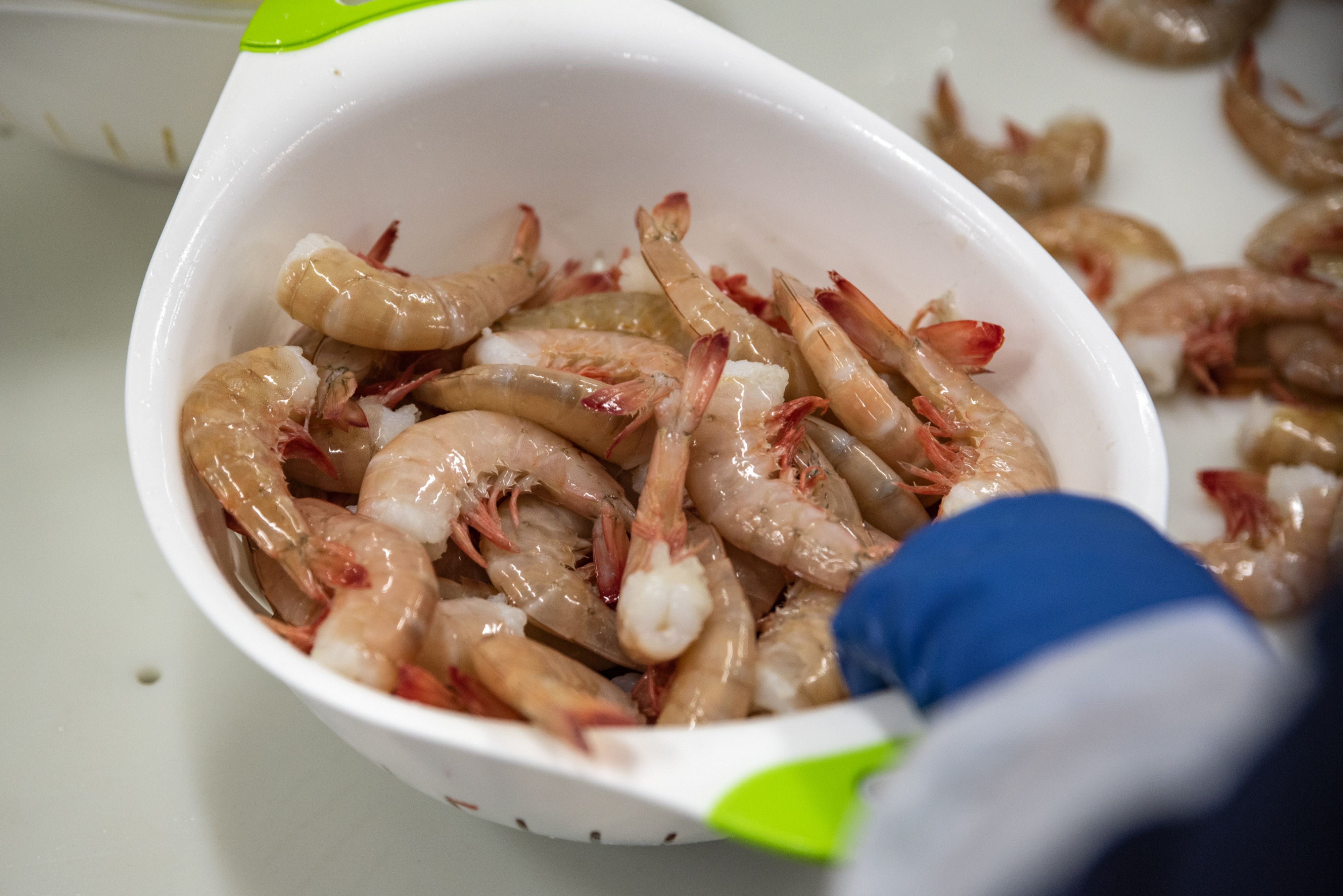 Avanti Feeds Q4 Review - Higher Shrimp Feed Sales Augur Well For Shrimp Exports: ICICI Securities