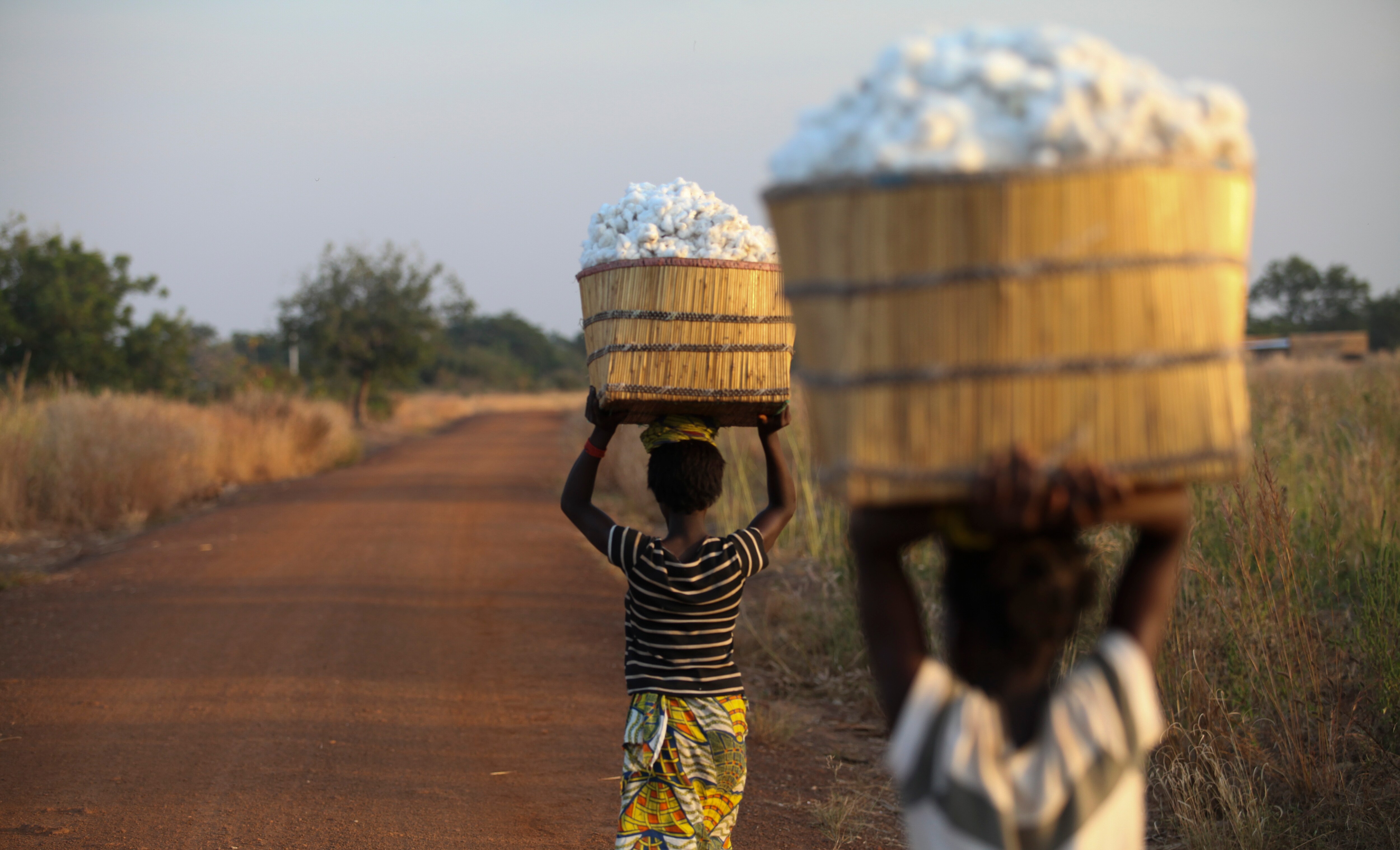India Has 10 Million Working Children, But Budget Cuts Rehab Spend