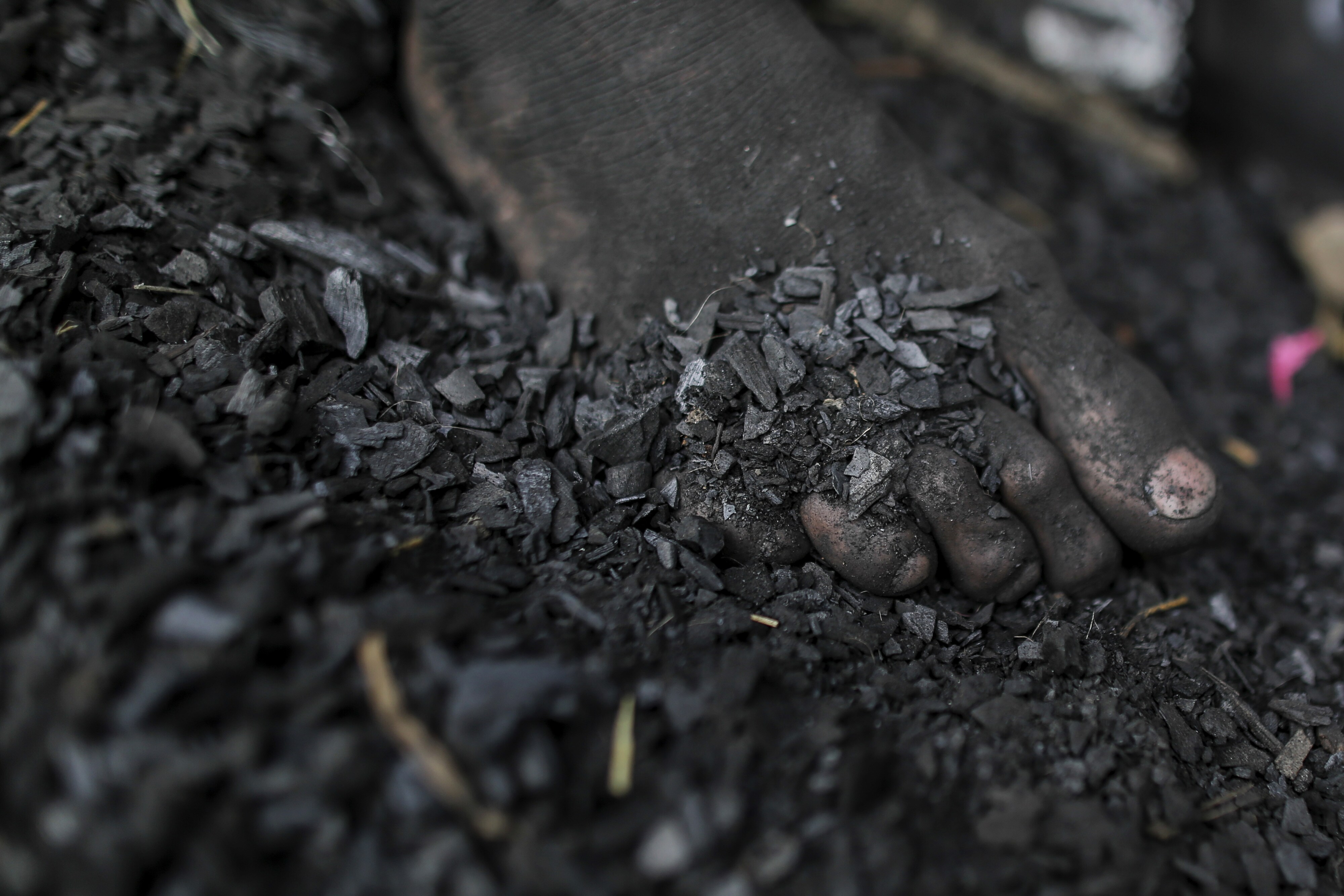Thermal Coal Imports Surge 19% In Major Indian Ports In The First Quarter