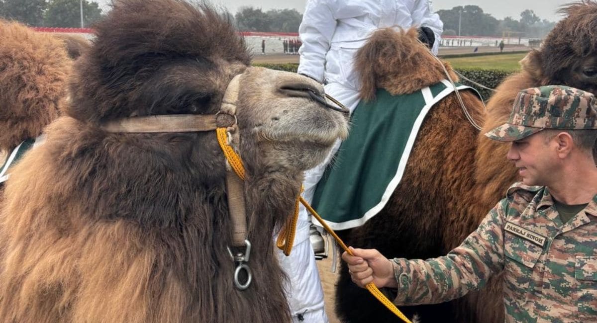 Latest and Breaking News on NDTV Latest and Breaking News on NDTV